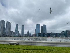 -星海广场