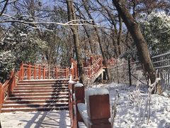 -紫金山山顶公园