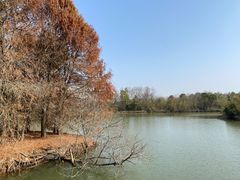 -上海海湾国家森林公园