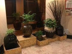 -花园酒店瑞士西餐厅(一汽店)