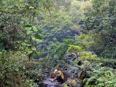 -水濂山森林公园