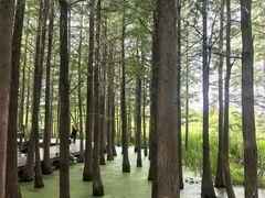 -云龙湖旅游景区