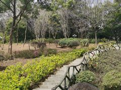 -深圳龙潭公园