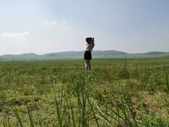 -乌兰布统草原