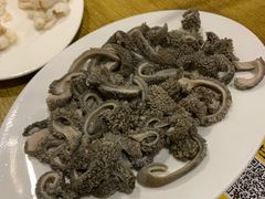 羊肚-宋记爆肚(酒仙桥店)