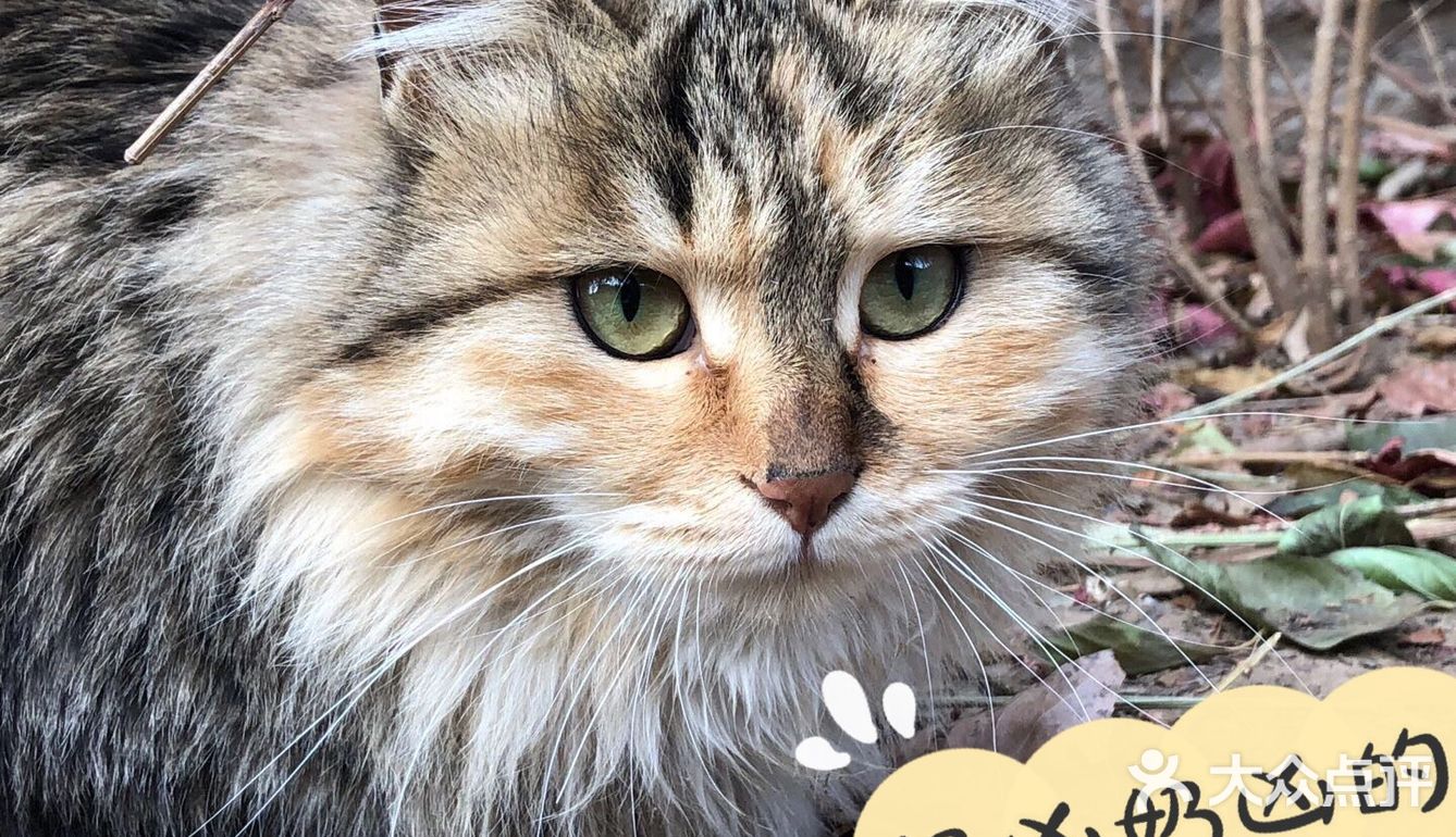 还会再去的古北水镇，爱了这地方[爱心]