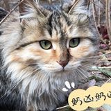 还会再去的古北水镇，爱了这地方[爱心]