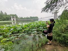 -东湖落雁景区