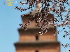 -大慈恩寺(大雁塔)