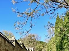 -刘公岛景区