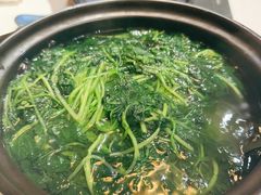 -荟廷·晶萃(陆家嘴尚悦湾店)