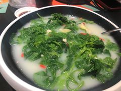 -羽鸽集·乳鸽专门店·地道顺德菜(岭南站店)