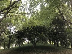 -绍兴鉴湖君澜大酒店