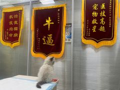 -美美宠物诊疗中心·异宠·骨科(滨江东信分院)