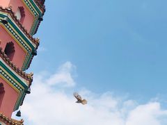 -仁寿寺