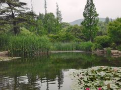 -习家池