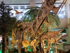 -甘肃地质博物馆