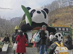 -栾川竹海野生动物园