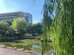 -昆明洲际酒店