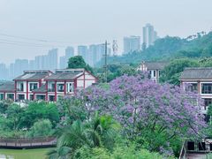 -张坝桂圆林公园