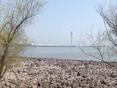 -上海吴淞炮台湾国家湿地公园
