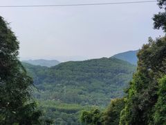 -广州市帽峰山景区