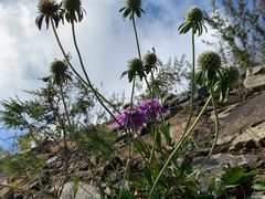 -白草畔自然风景区