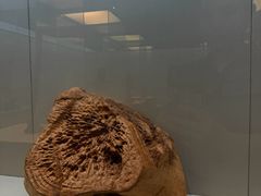 -香市公园-中国沉香文化博物馆