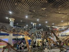 -国家自然博物馆