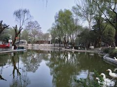 -西安市长乐公园