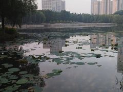 -后襄河公园