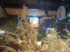 -D STAR COFFEE帝星咖啡