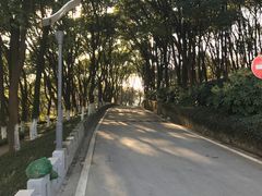 -上海市保健医疗中心(华东疗养院)
