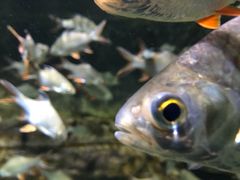 -绍兴梦享海洋公园