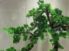 -大鹏饭店·金陵家宴(奥体中心店)