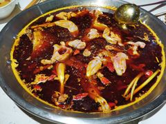 美蛙鱼头-蛙鱼道美蛙鱼自助火锅(新耍都店)