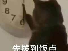 -创味·民间海南菜·非遗藤桥排骨(藤桥·免税城店)