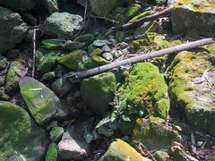 -会稽山峡洞漂流-上青古道