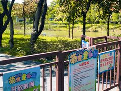 -王借岗森林公园