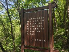 -句容茅山景区