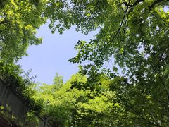 -岳麓山风景名胜区