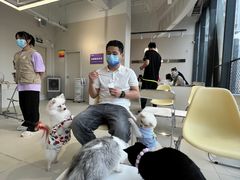 -怪兽屋·羊驼·猫咖·狗咖(俊华广场店)