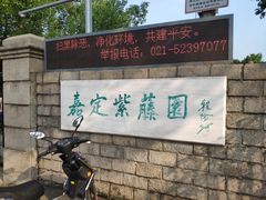 -嘉定紫藤园