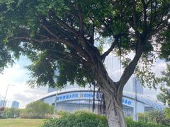 -宝安西湾红树林湿地公园