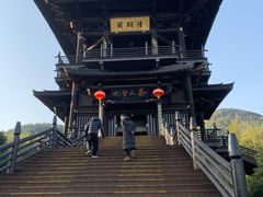 -大唐贡茶院