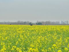-汉长安城未央宫国家考古遗址公园