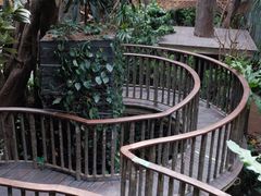 -正佳雨林生态植物园