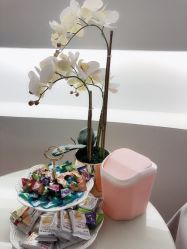 -MIVI野生眉纹绣纹眉