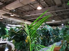 大堂-红栌温泉山庄生态美食餐厅