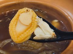 -大中鱼翅 Taitong Shark Fin